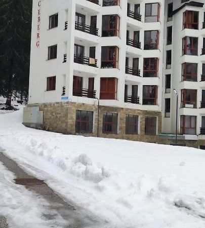 Forest Place Apartment Pamporovo Bagian luar foto