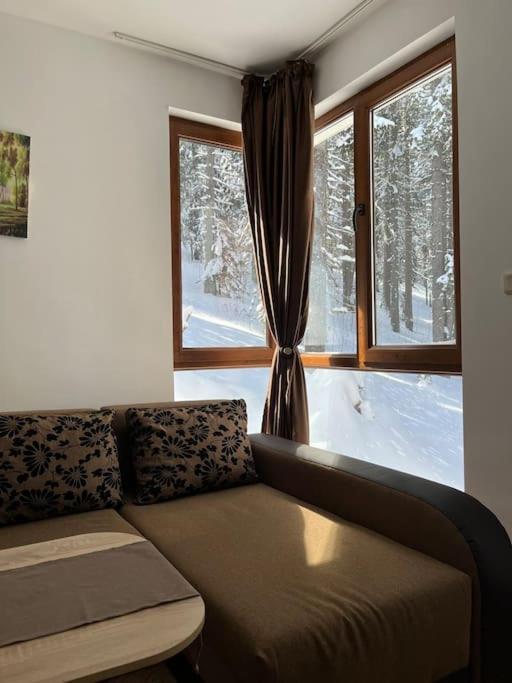 Forest Place Apartment Pamporovo Bagian luar foto